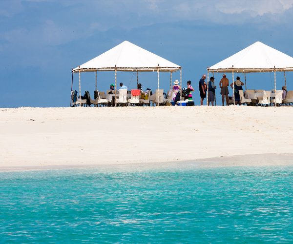 Nakupenda sandbank Tours with Snorkeling + Seafood Lunch